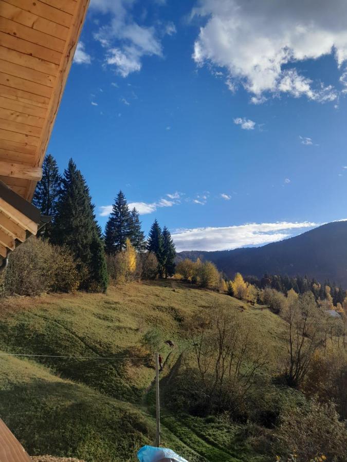 Casa Ștefania - B&B Dâmbovicioara