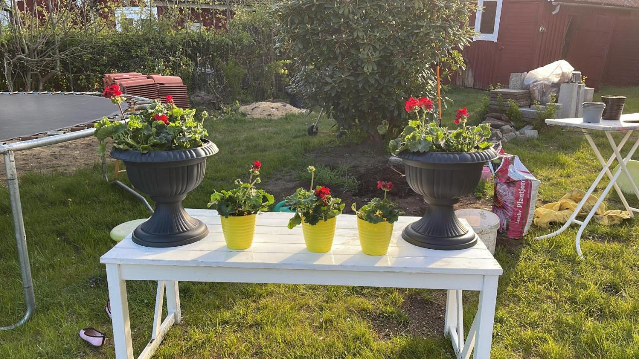 Solgården - B&B Falkenberg