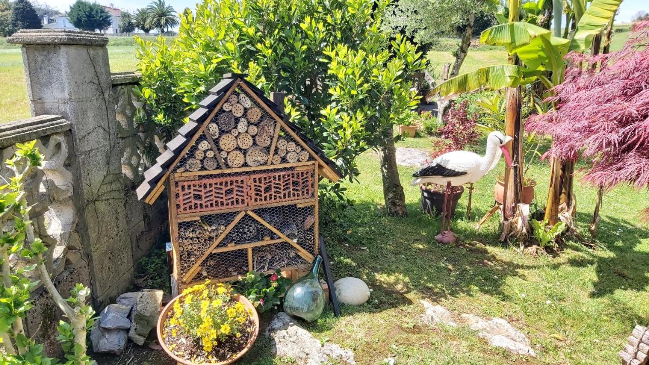 Habitación Doble Estándar