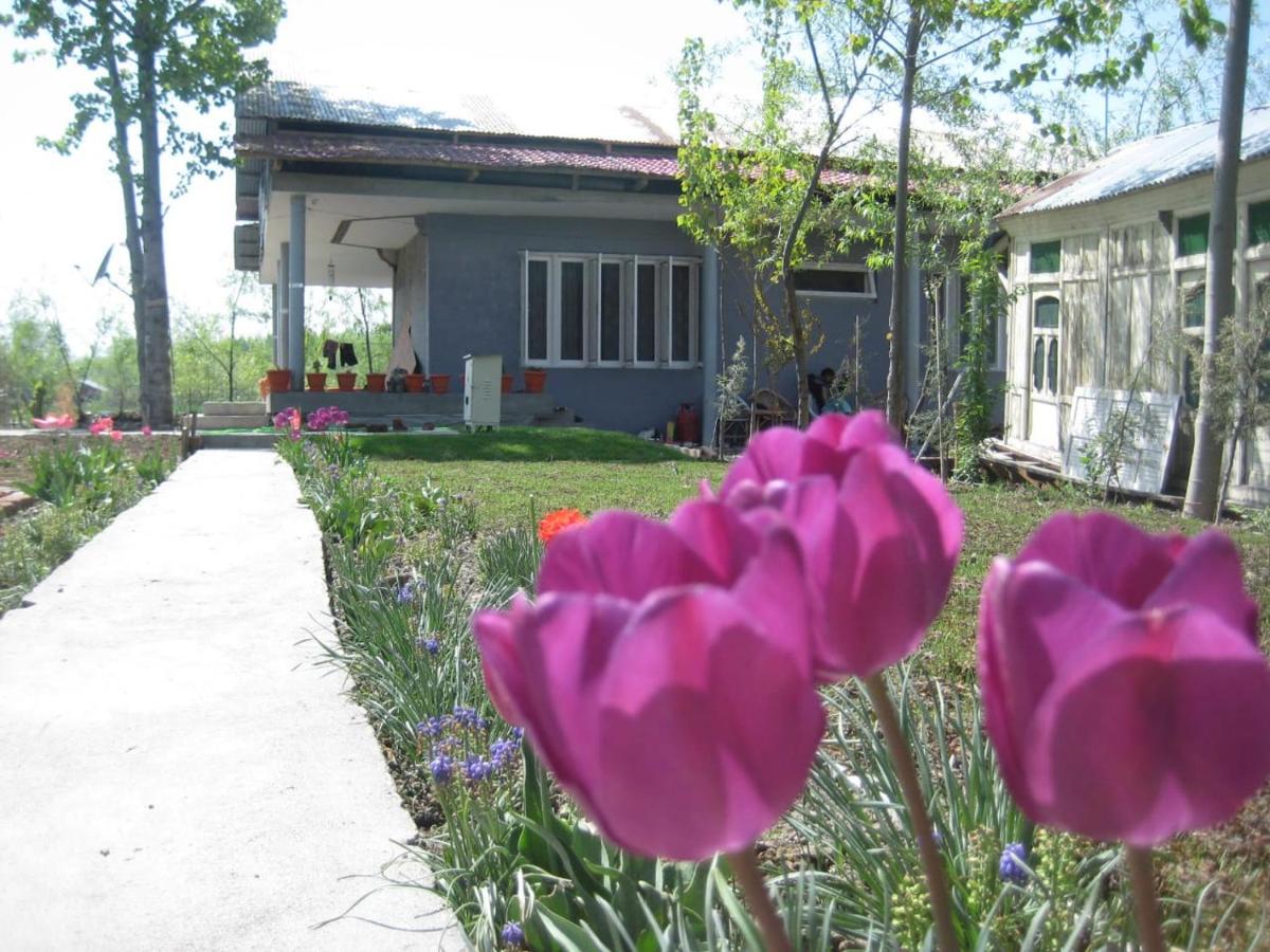 Jalla Residence - B&B Srinagar