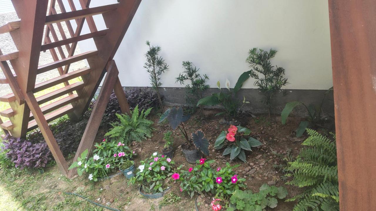 Moçamba - B&B Florianópolis