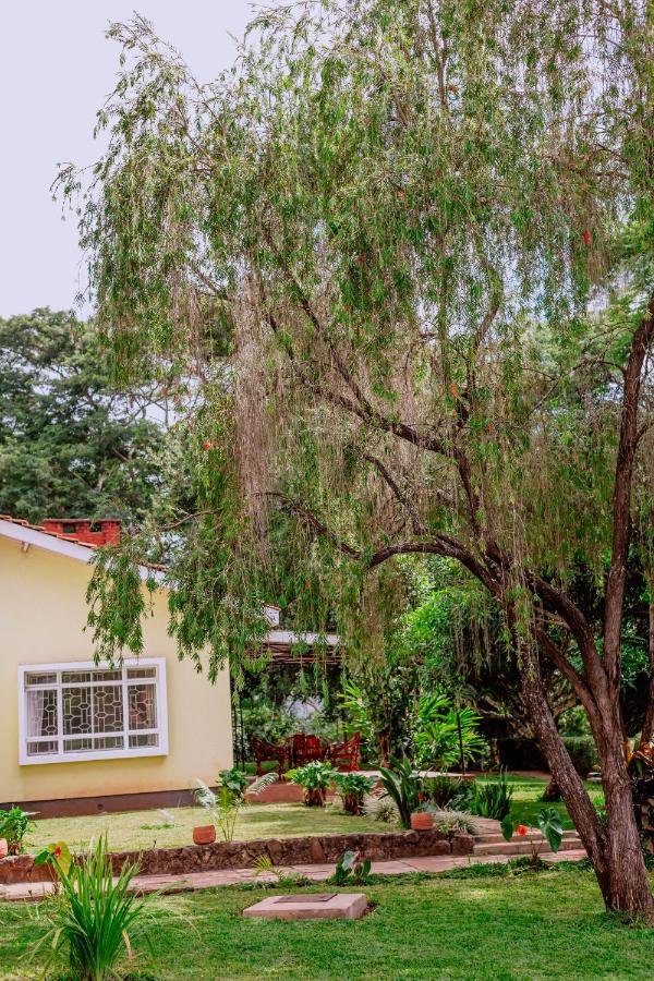 Avana Home - B&B Arusha