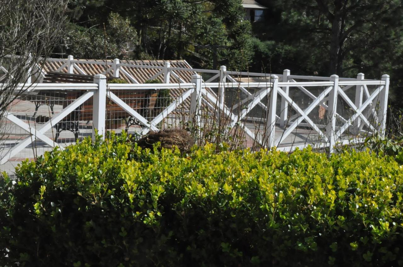 Passagem da Neblina - Bed & Breakfast - Ferienwohnung Campos do Jordão