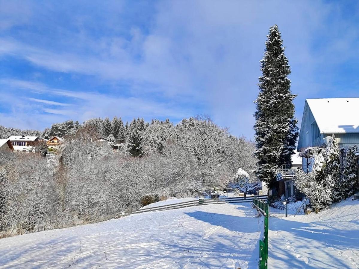 EulenHorst - Ferienhaus in Seeboden am Millstätter See mit Sonnenterasse & Bergblick - B&B Seeboden