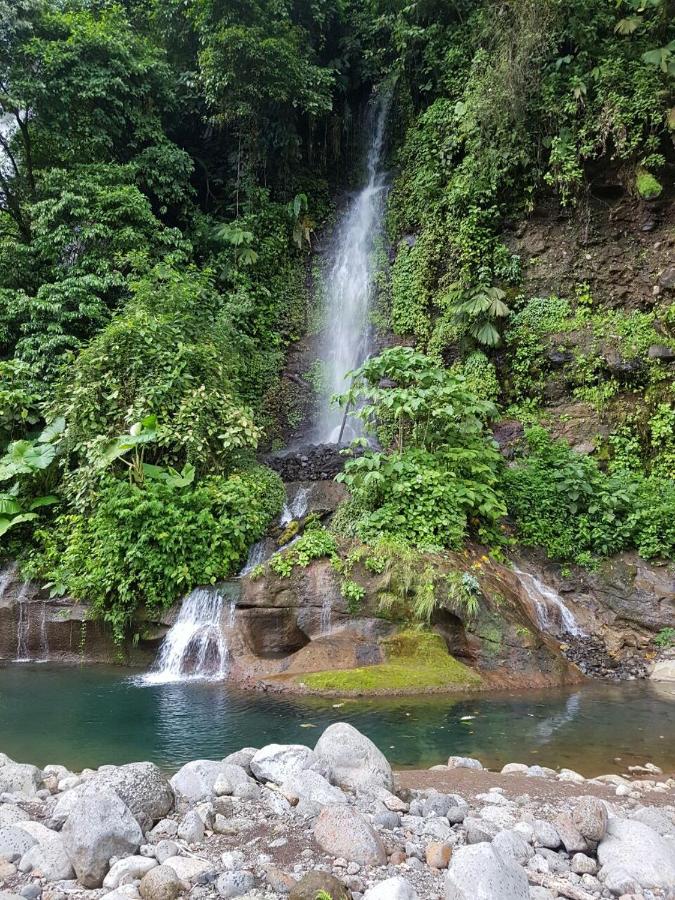 Hostel Orozco - Costa Rica - B&B