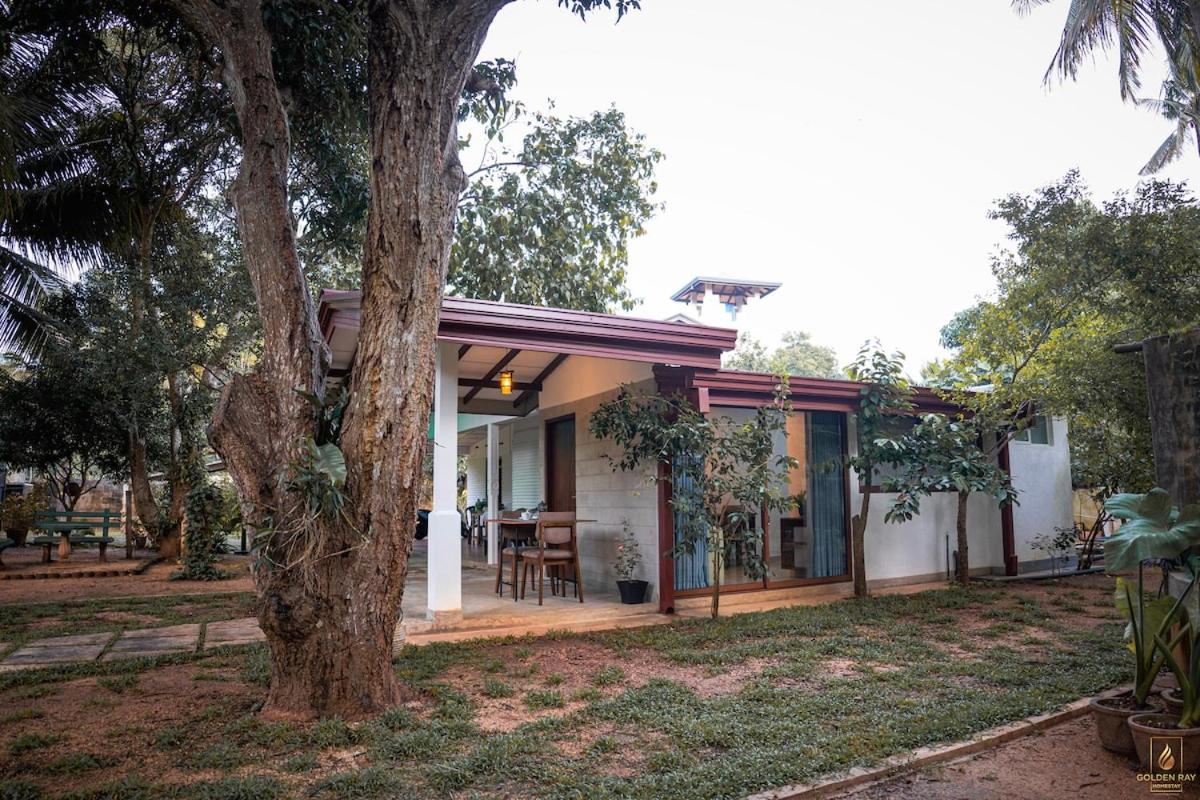 Golden Ray Homestay - B&B Anuradhapura
