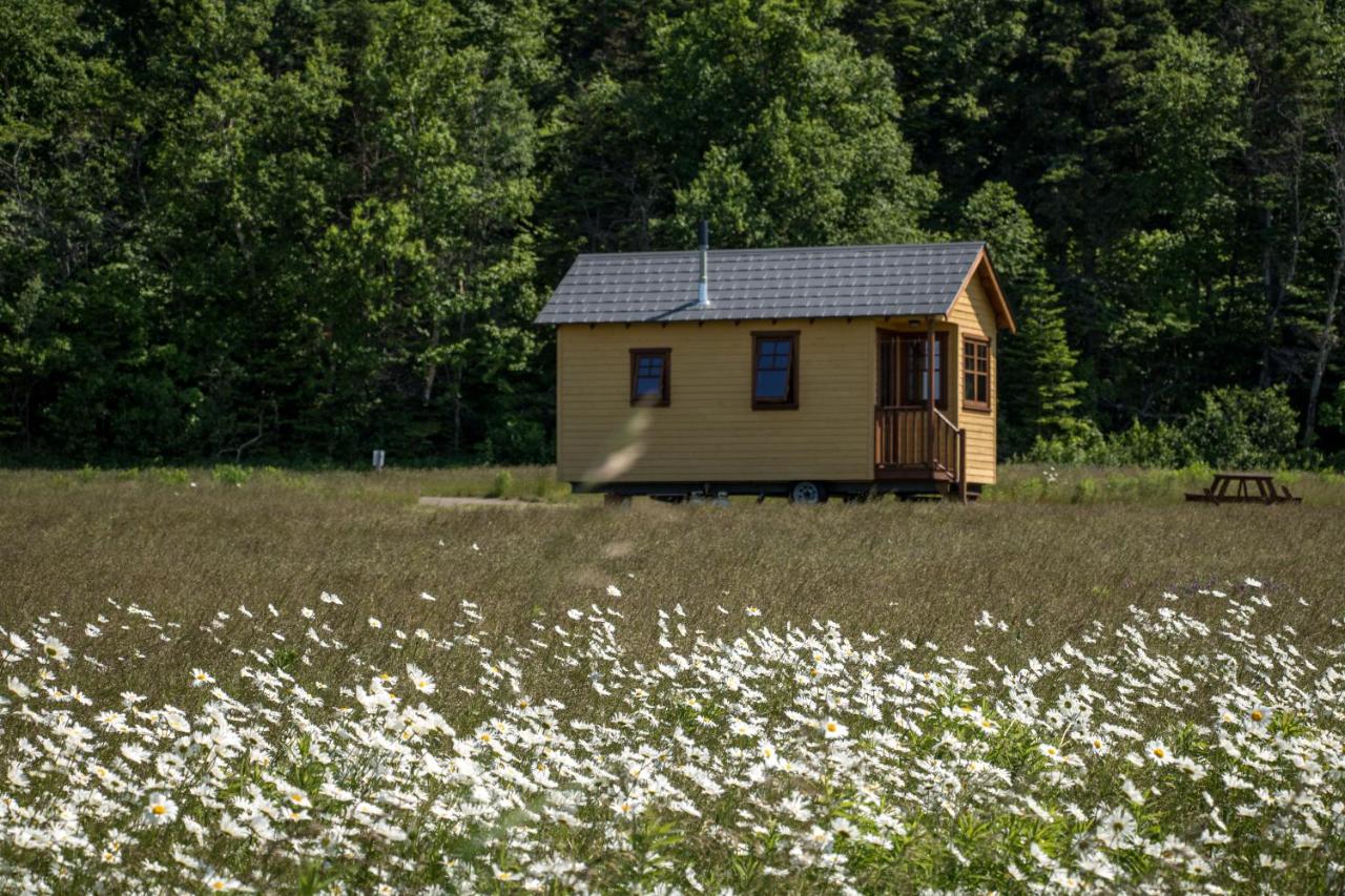 Chalet  jaune n°4