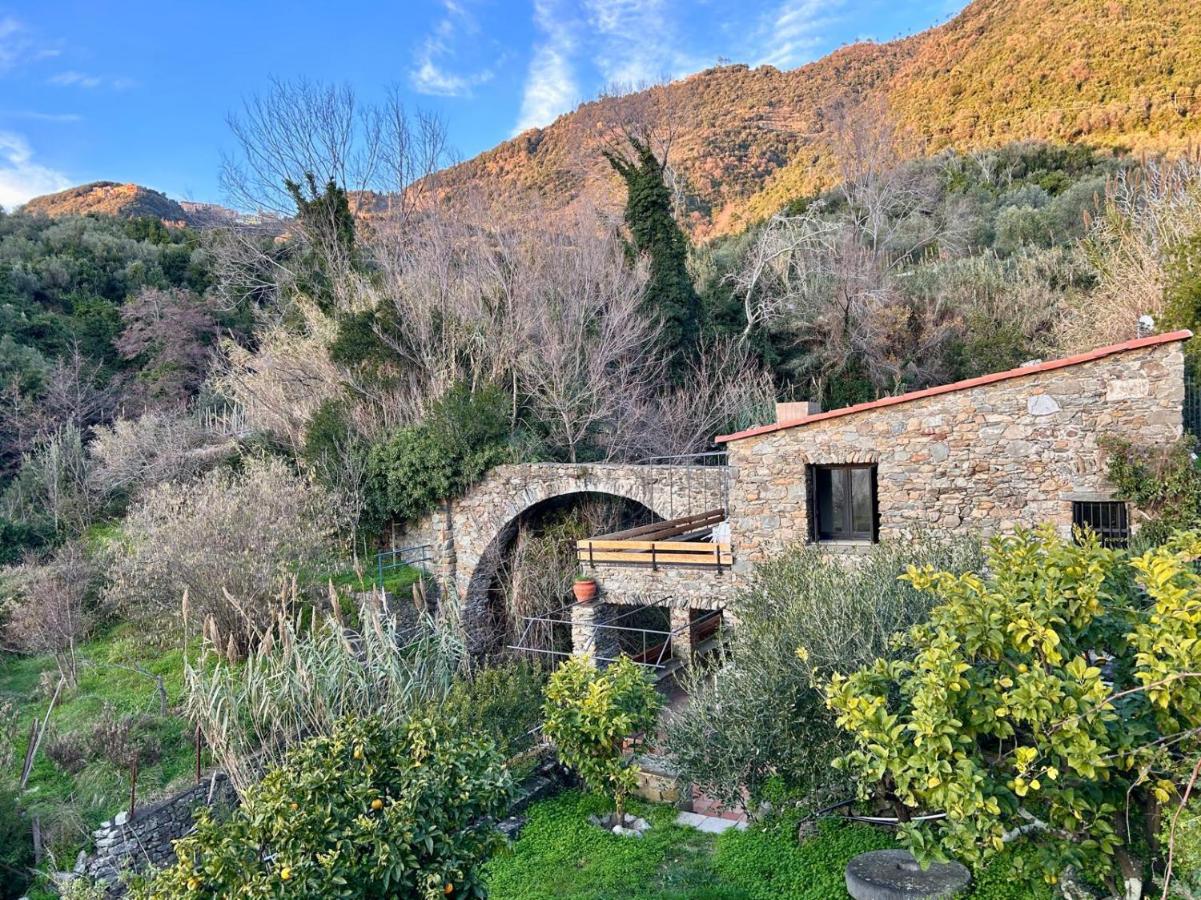 Villa Olive Mill Terra Rossa - B&B Corniglia