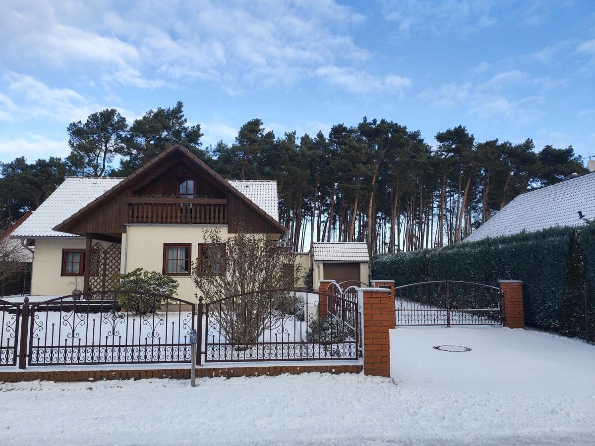 Ferienhaus Villa Waldblick - B&B Kolkwitz