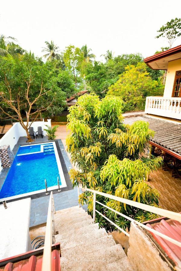 Wildlife Safari House - B&B Udawalawa