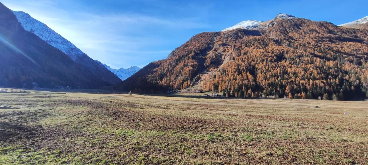 Sant'Orso Cozy Home - B&B Cogne
