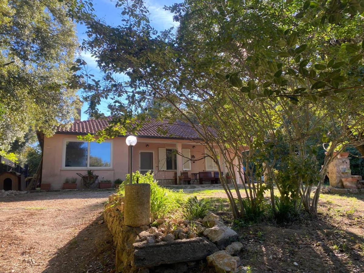 FarAway House B&B - B&B Narni