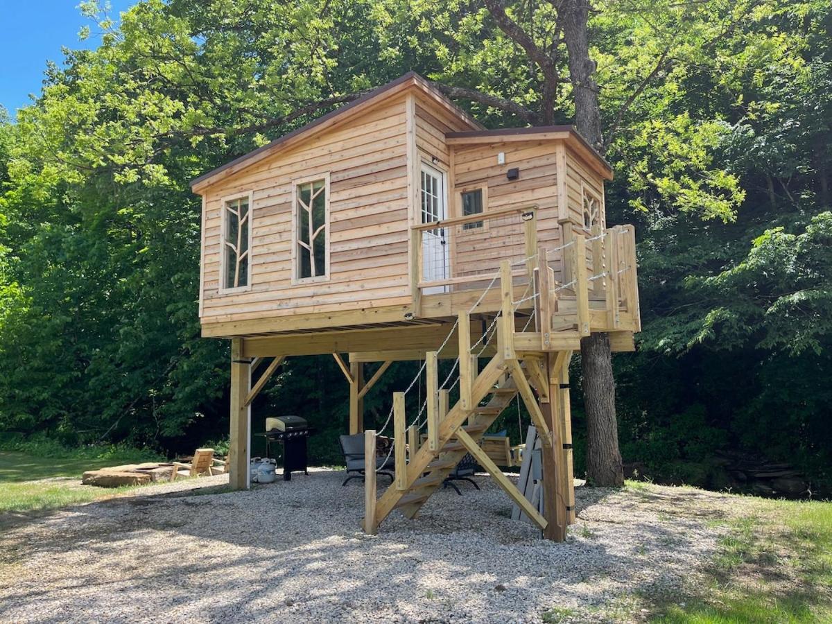 The Owl's Perch Treehouse - B&B Lewisville