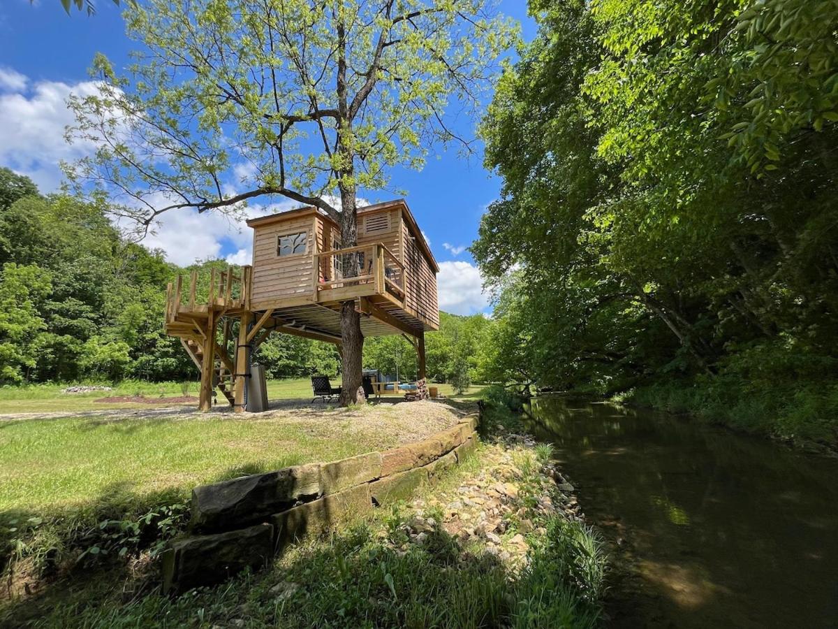 The Owl's Perch Treehouse - B&B Lewisville