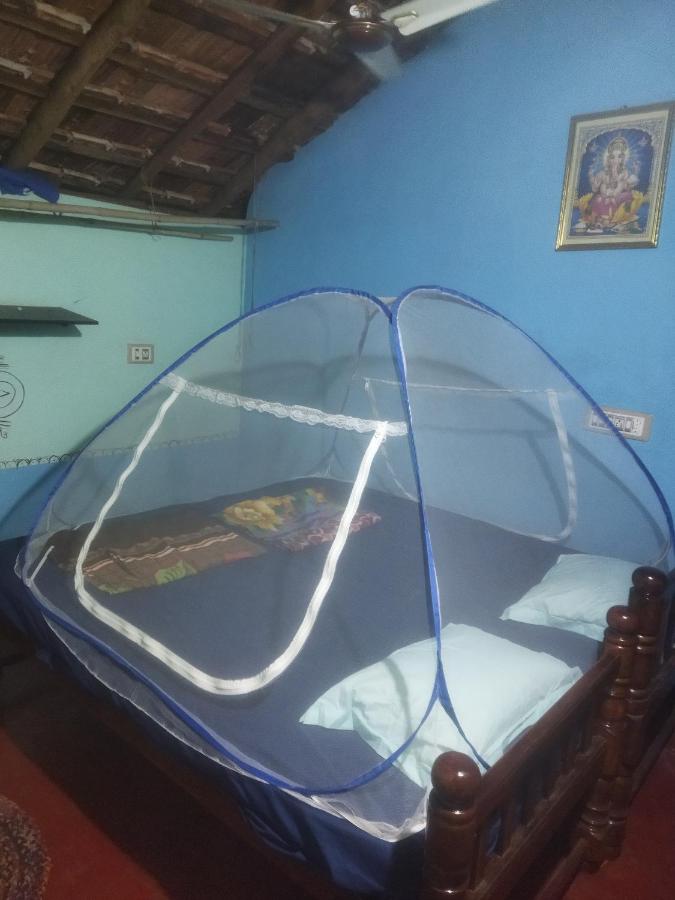 Ocean Sparrow Home Stay - B&B Gokarna