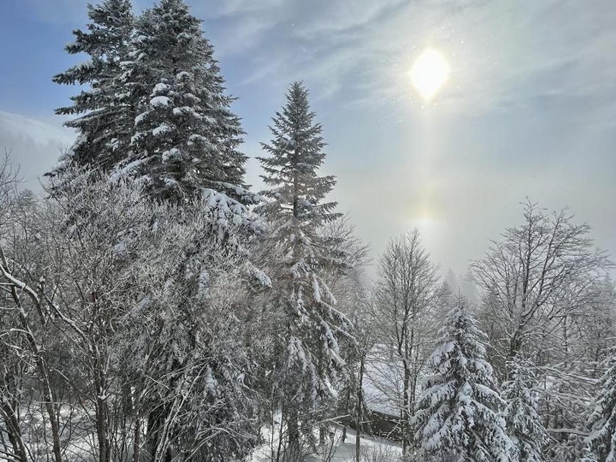 Charmant Duplex au Coeur de la Station - FR-1-787-142 - Ferienwohnung Le Lioran