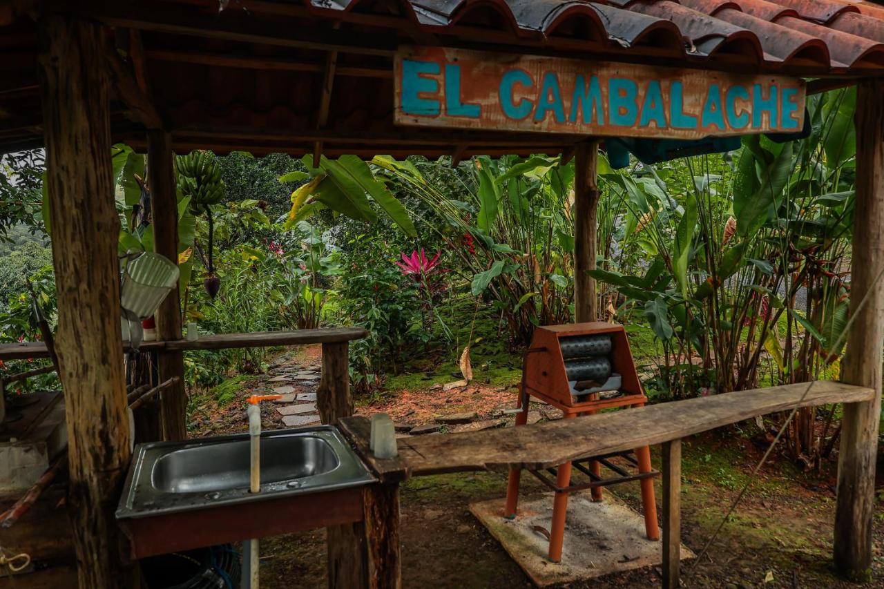 Santa Juana Lodge & Nature Reserve - B&B Quepos