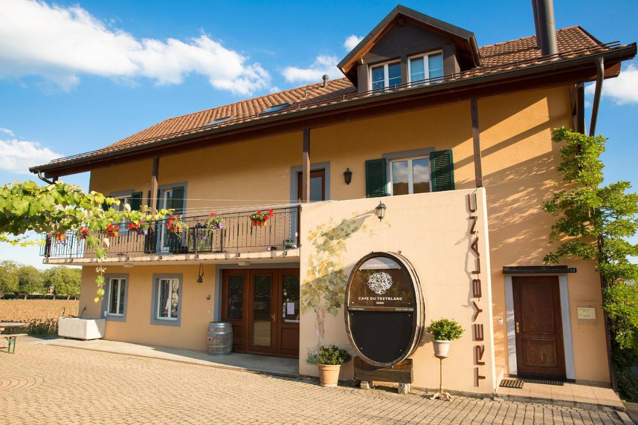 B&B Luins - Cave Du Treyblanc - Bed and Breakfast Luins