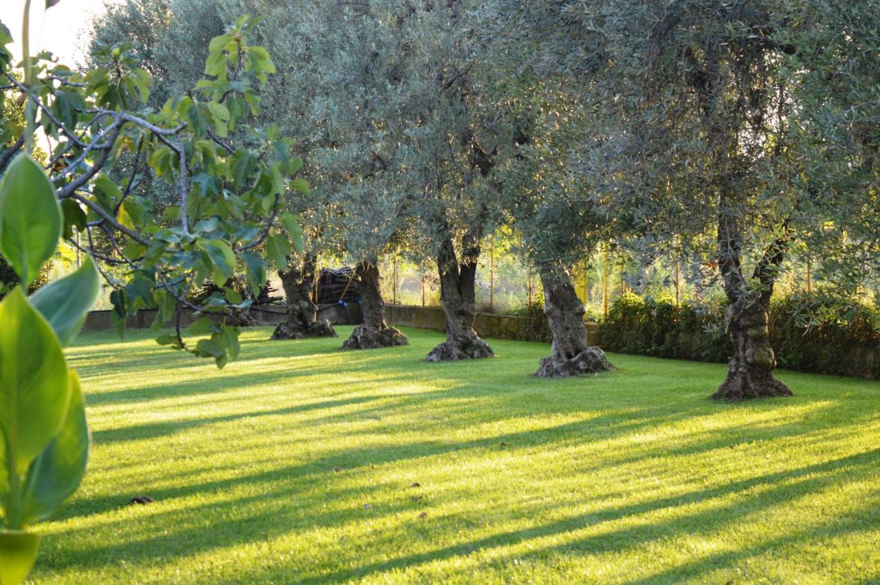 Villa Irene Pisticci-Matera - B&B