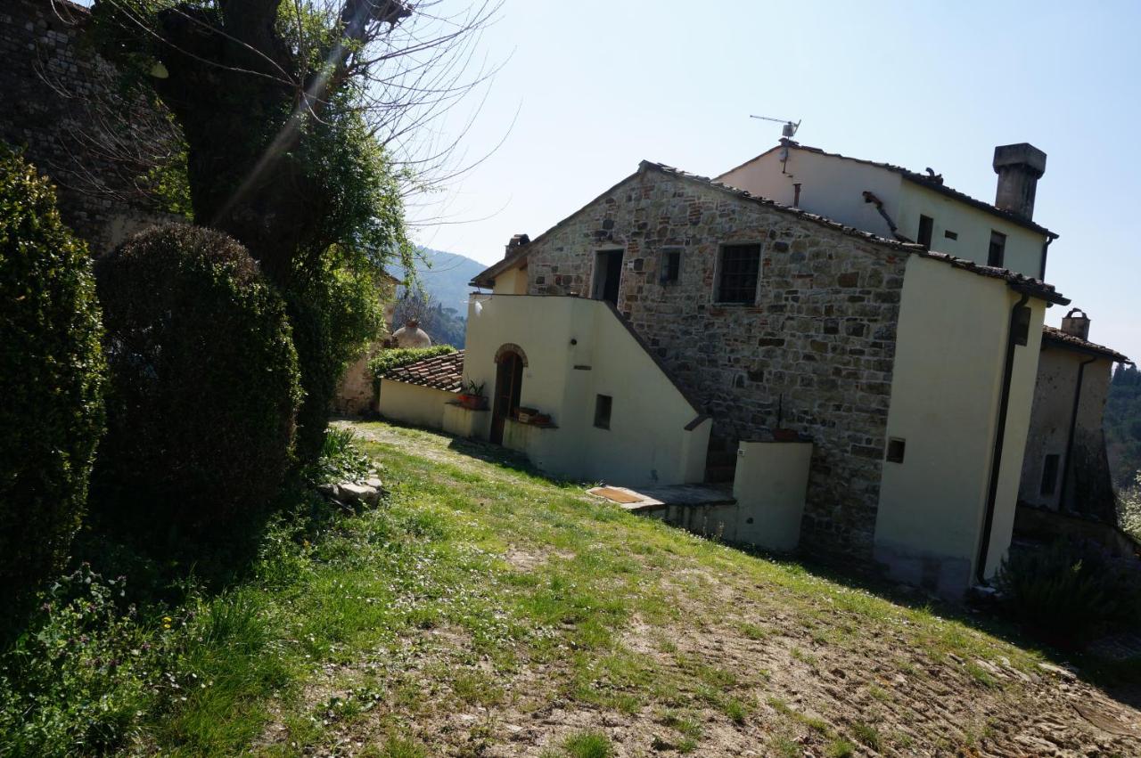 Agriturismo Podere Palazzuolo - B&B