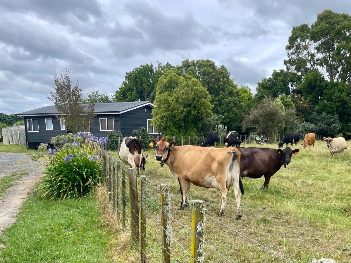 Peaceful Country Escape in Gordonton - Green Meadows Cottage - Chambres d'hôtes Taupiri