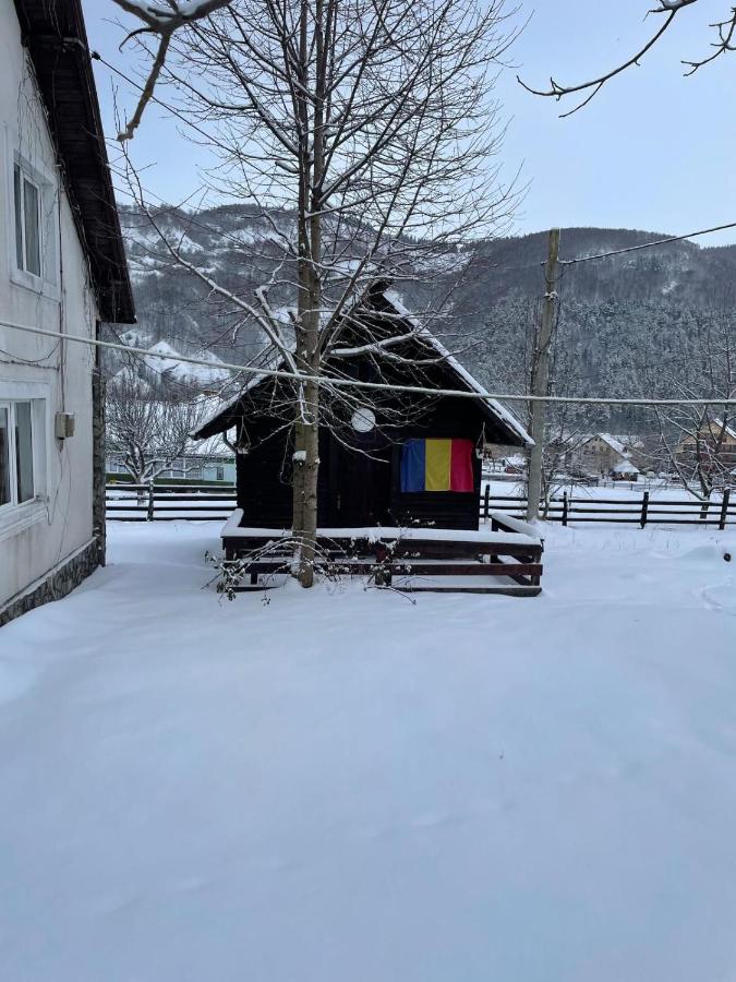 Casa Santa Maria Bran - B&B Moieciu de Jos