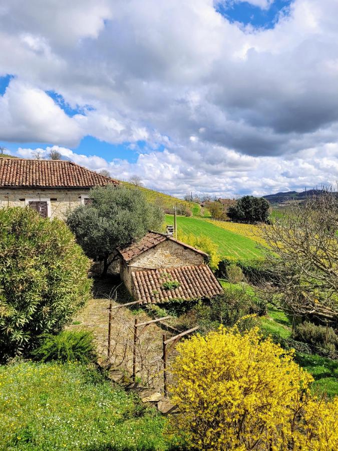 Appartamento Dolcetto in Cascina Marenco Langhe Country House - Chambres d'hôtes Cessole