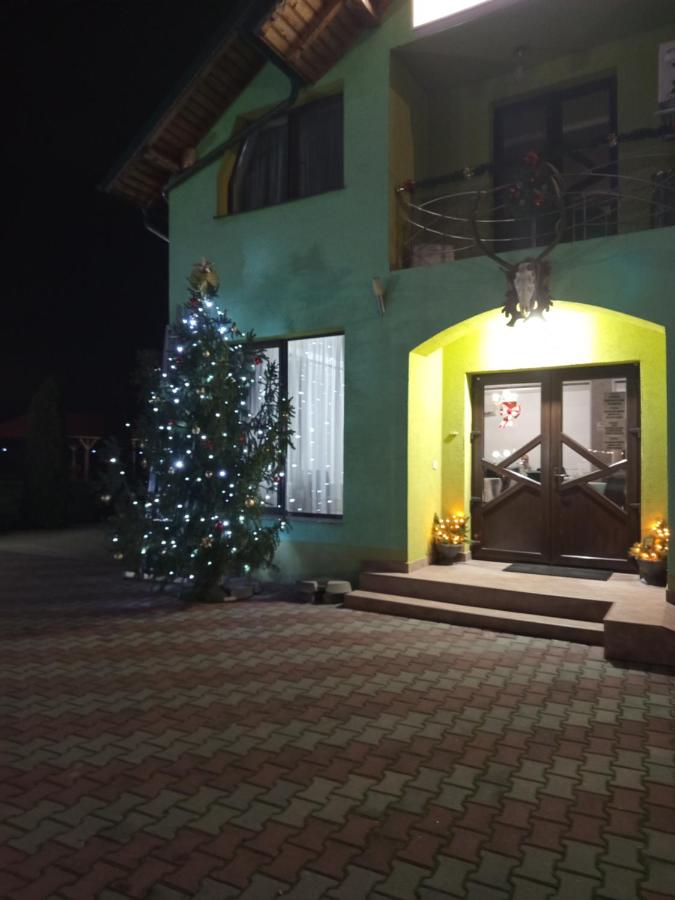 Pensiunea Vânătorului - Ferienwohnung Miceşti