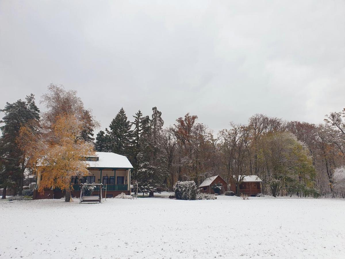 Csiszárhegyi Vadászház - B&B Karád