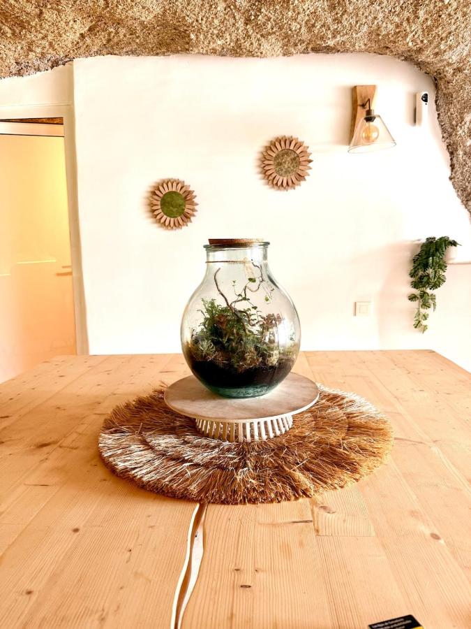 Cueva Thalia - luxury cave with heated indoor pool and garden - B&B San Miguel De Abona