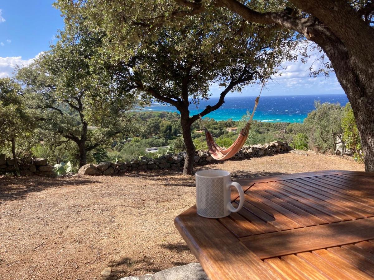 Petite Pause de Fogata - Jolie vue mer - B&B Corbara