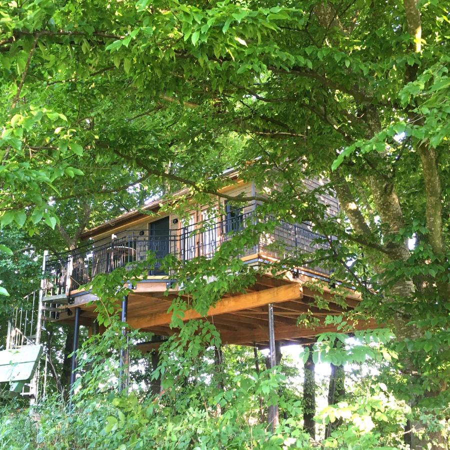 Baumhaus auf dem Kellerberg - B&B Fischach