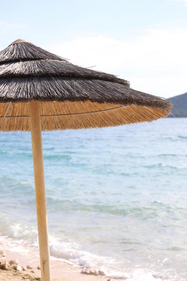 Hollers Holiday Homes Haus Oli - B&B Drage