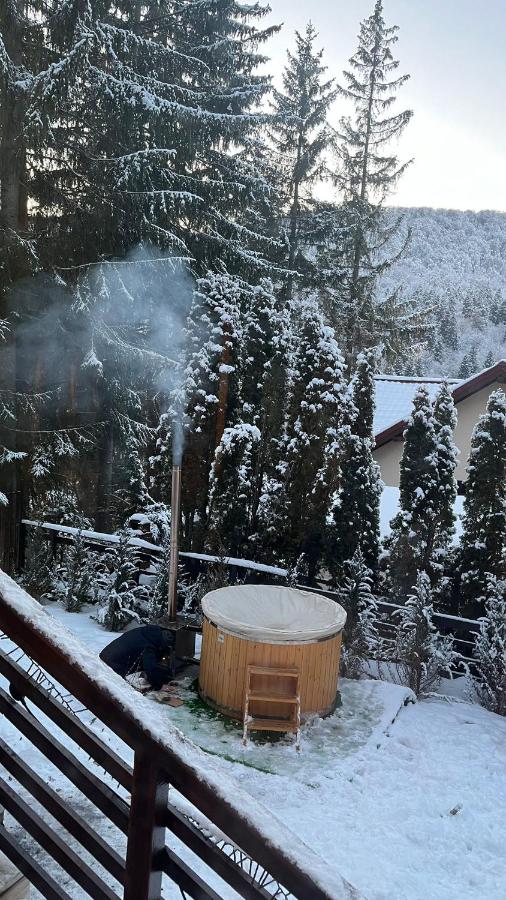 Vila Plai Predeal - B&B Predeal