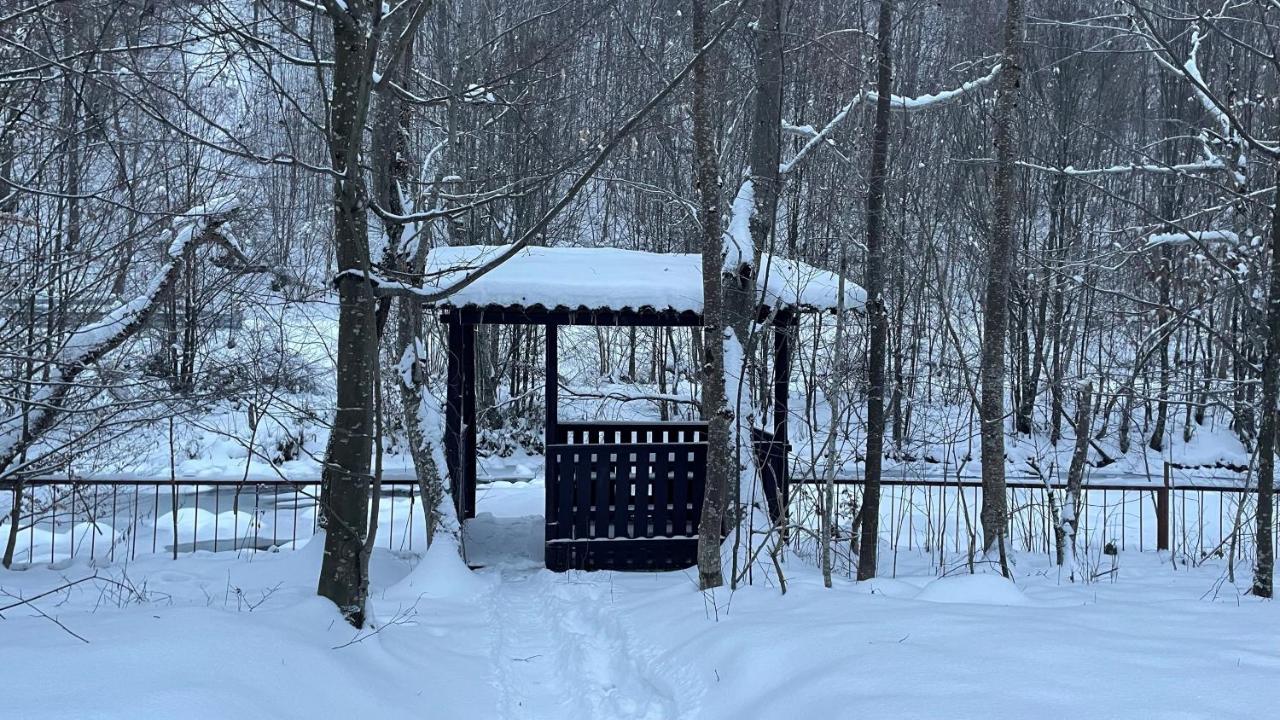 Cottage by the river Valea Draganului - B&B Poieni