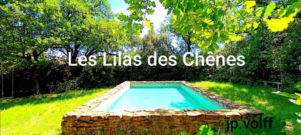 Les Lilas des Chênes - B&B Piolenc