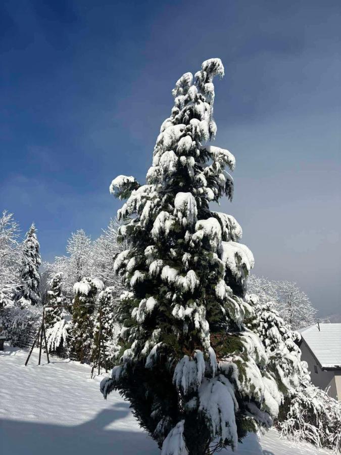 Nature escape Sarajevo - Bed and Breakfast Kasatići