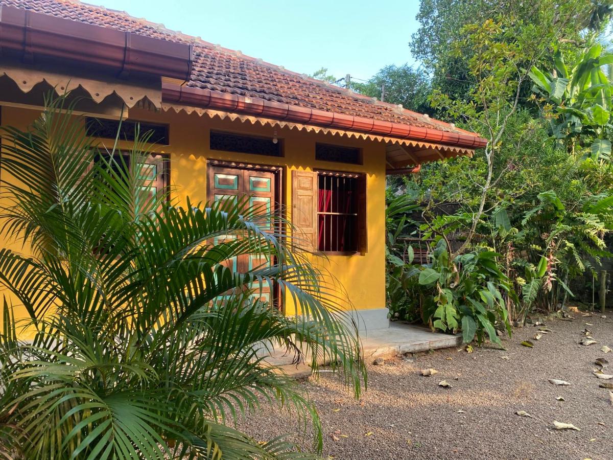 Dragon-Fly Home Hikka - Bed and Breakfast Dodanduwa