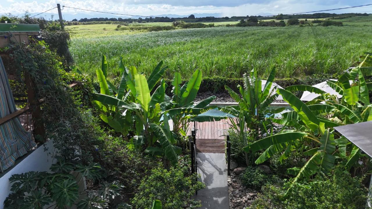 T3 Lumineux avec vue exceptionnelle et piscine Oasis de nature et Sérénité - B&B Petit-Canal
