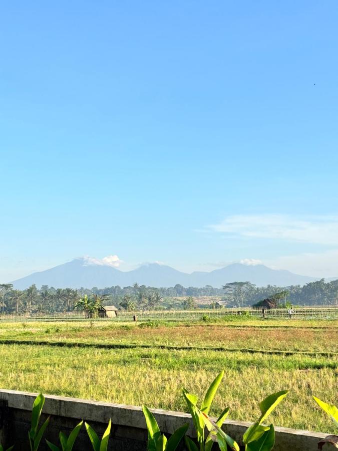 Pondok Kawoka - B&B Ubud