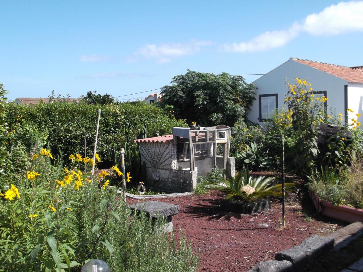Quinta da Abegoaria - Ferienwohnung Abegoaria