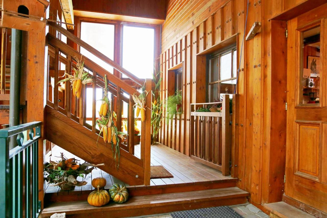 Ferienwohnungen Schlader - B&B Zell am Moos
