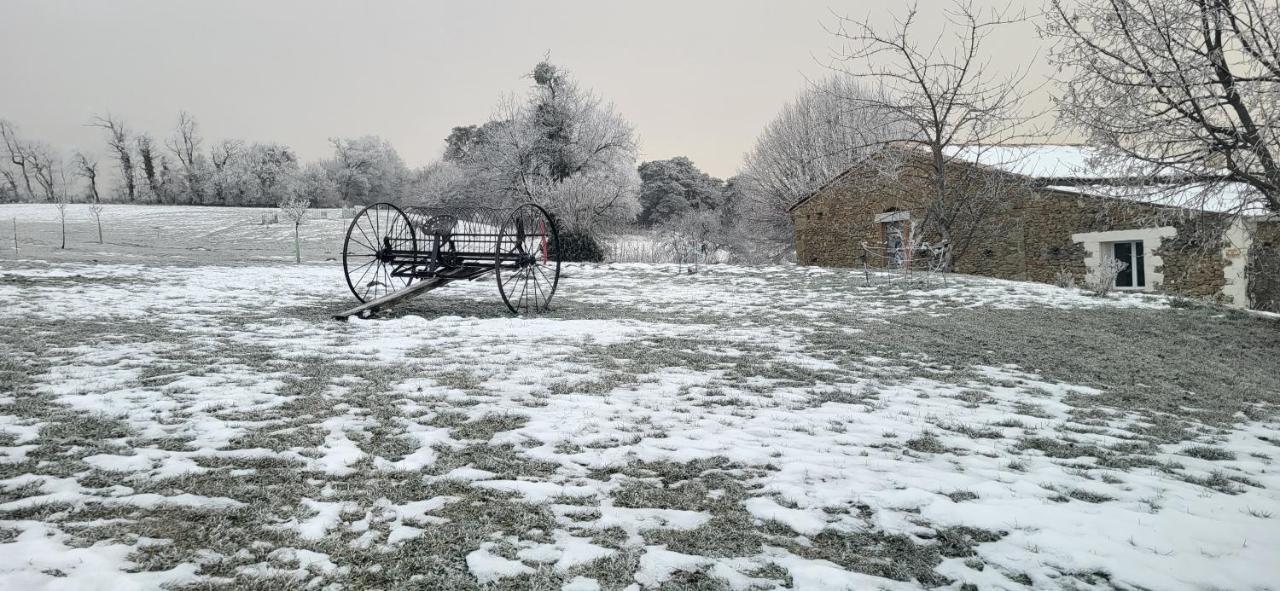 Gite de Tourasson - Bed and Breakfast Félines-sur-Rimandoule