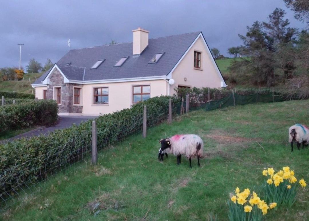 Wooly Lodge - B&B Westport