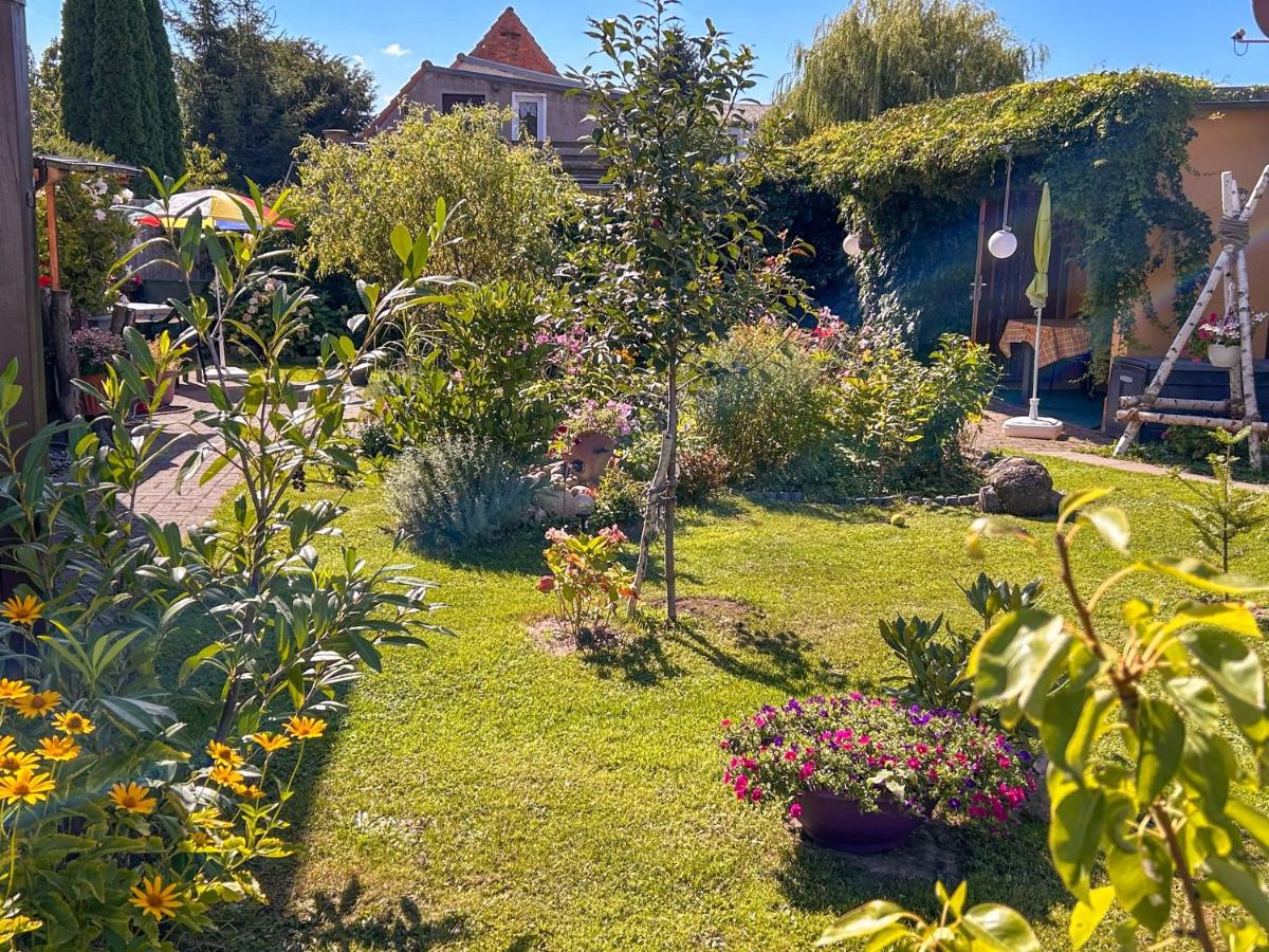 Zur gemütlichen Weinlaube - Bed and Breakfast Ribnitz-Damgarten