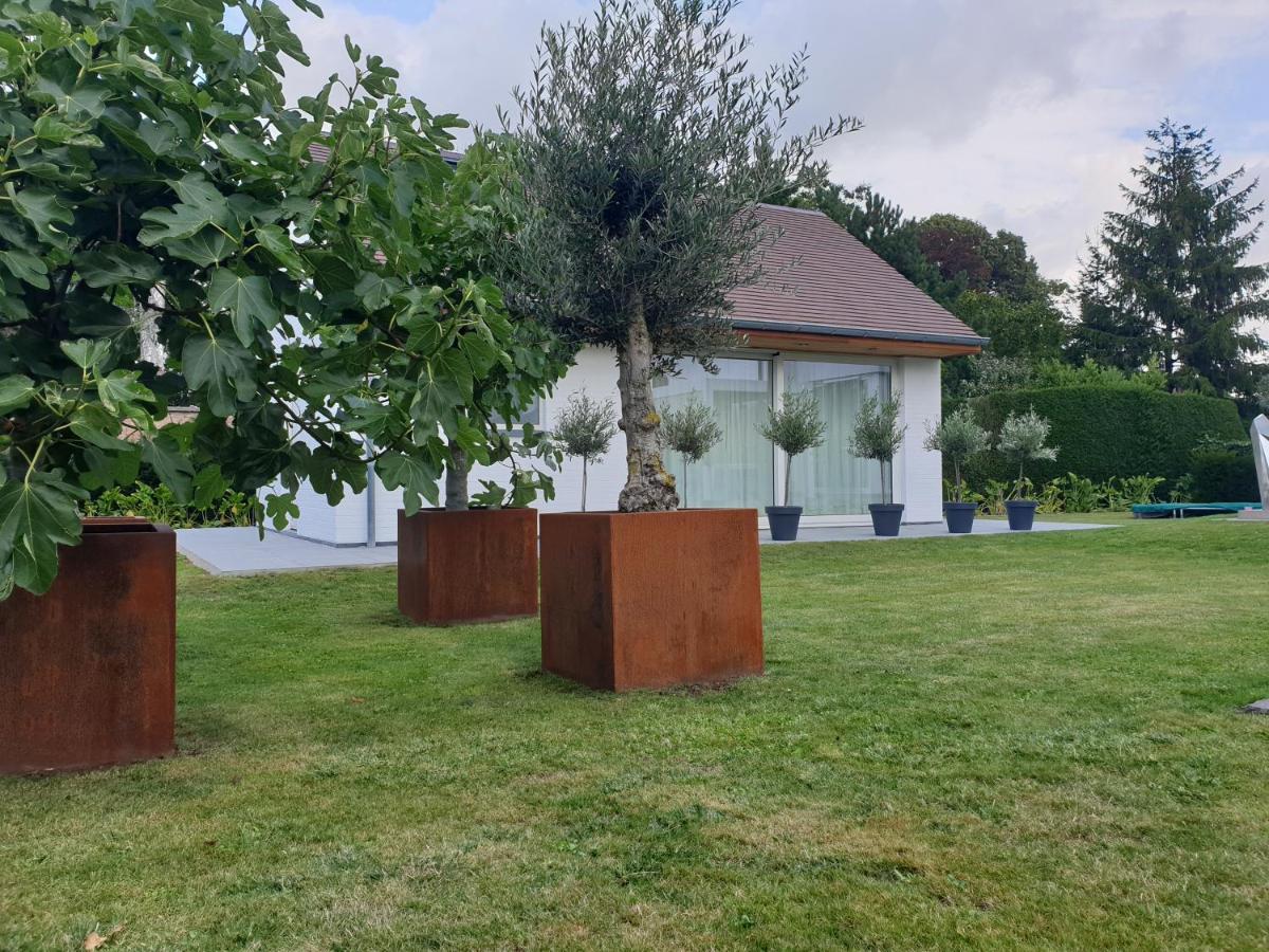 Thibault 1 - B&B Gistel