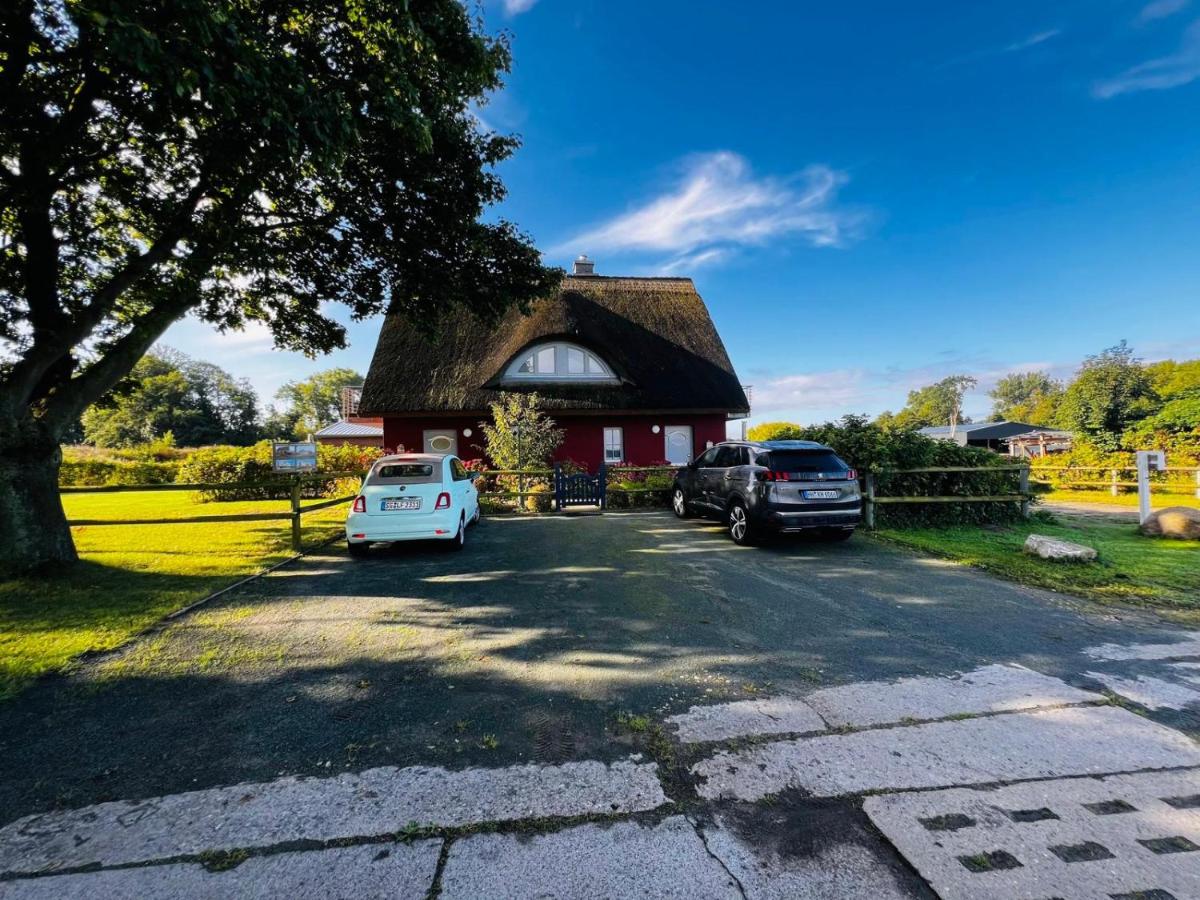 Ferienhaus Hofblick Gut Gustrowerhöfen - B&B Altefähr