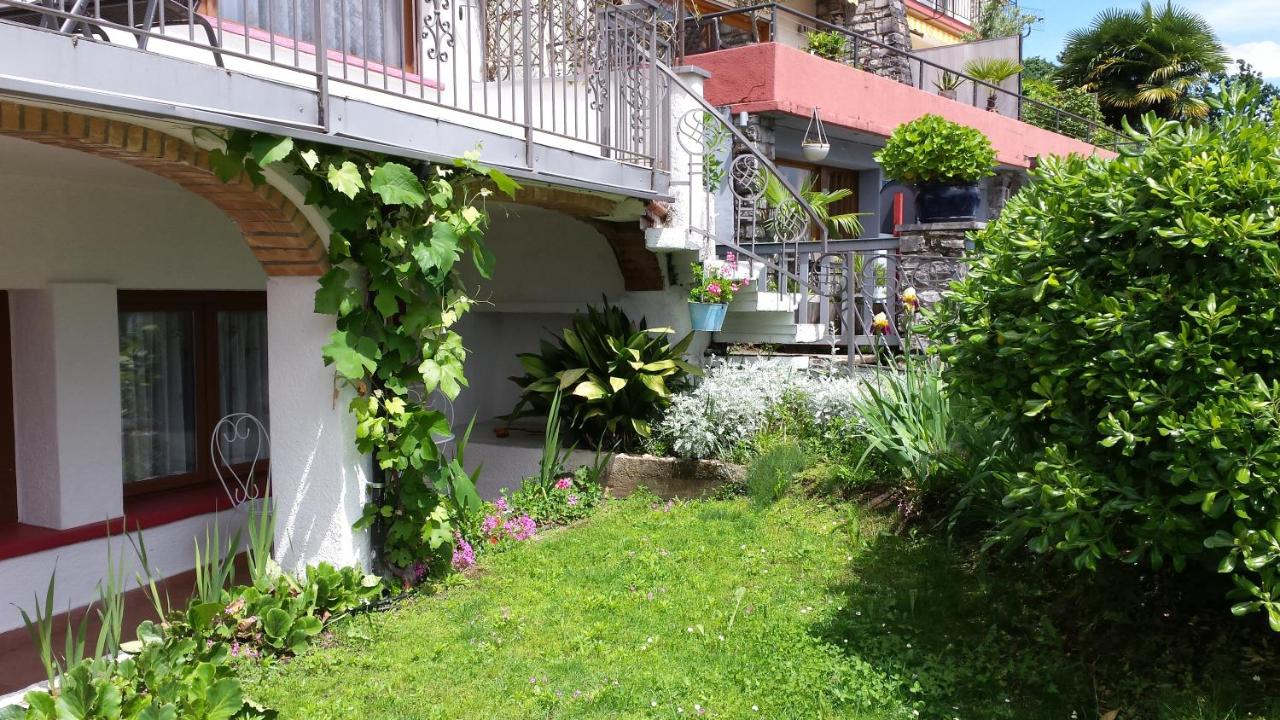 Standard One-Bedroom Apartment