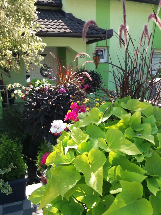 Rooms GRIZZLY - B&B Slunj