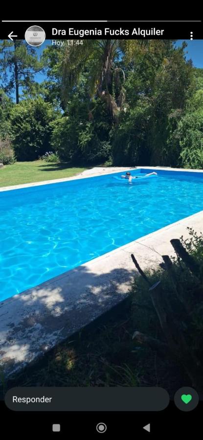 El buho - B&B Roldán